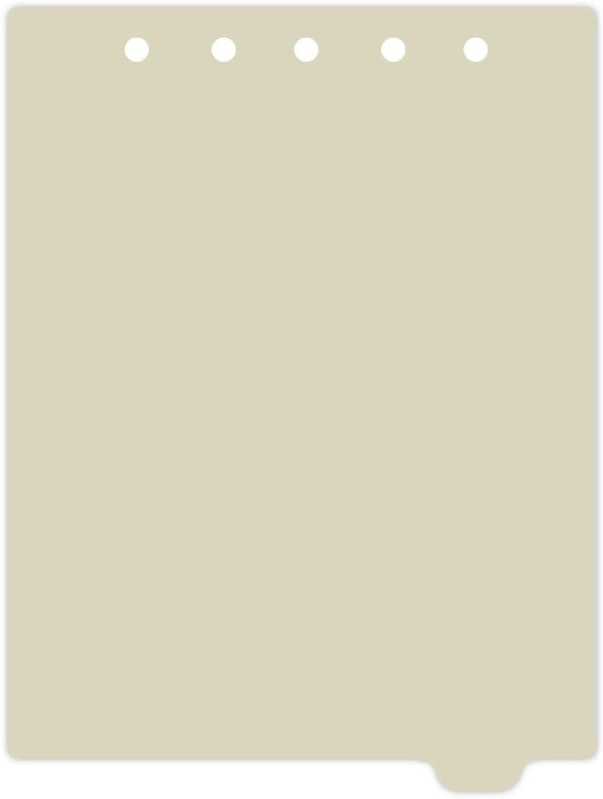 Carstens - Heavy Duty Plastic Ring Binder Dividers, Bottom Tab, 1/9 Cut, Tab 8 Position, US Letter, Pale Green, Pack of 10, (2619-17) - Ideal Medical Chart Dividers or Index Tabs for 3 Ring Binders