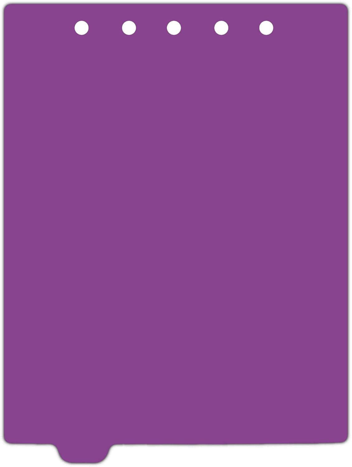 Carstens - Heavy Duty Plastic Ring Binder Dividers, Bottom Tab, 1/9 Cut, Tab 2 Position, US Letter, Purple, Pack of 10, (2619-22) - Ideal Medical Chart Dividers or Index Tabs for 3 Ring Binders