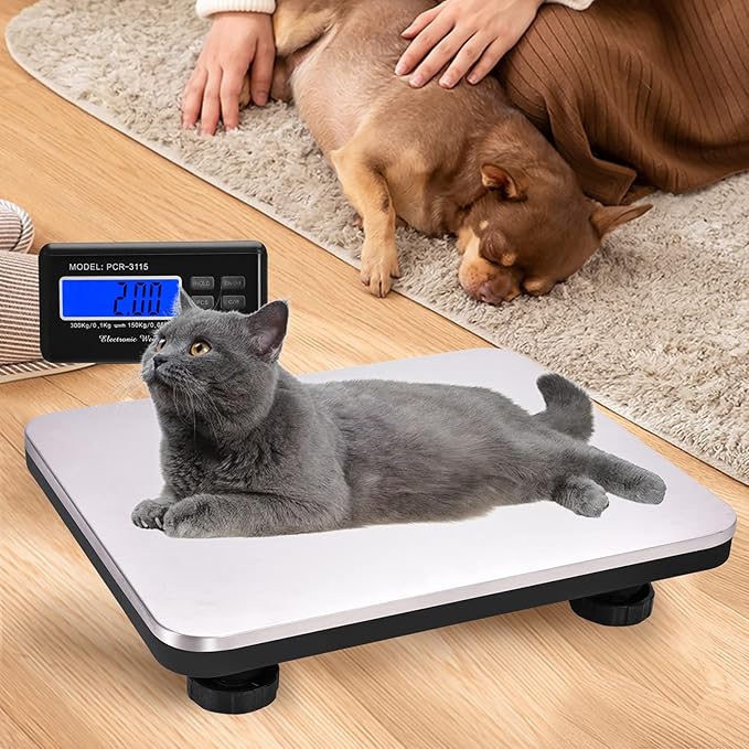 Shipping Scale 660lbs LCD Digital Postal Scale, Stainless Heavy Duty Postage Scale for Packages, 300kg Capacity Platform Scale for Shipping Weighing(14"X 12")