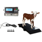 Liberty LS-920-2k Industrial Portable Floor Scale for Small Animal, Platform 50" x 20" / up to 2000 lbs (Made in USA) Scale System