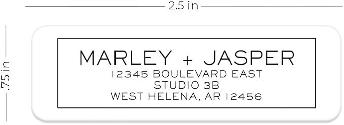 Simple Modern Outline Rolled Address Labels/Roll of 250 Square Box Personalized Address Labels/Designer Return Address Stickers in Elegant Plastic Dispenser