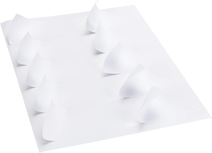 9527 Product 10 UP Sticker Labels,2x4 inches FBA Shipping Address Labels for Laser/Ink Jet Printer,Total 1000 Labels