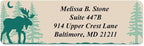 Brushed Moose Designer Rolled Address Labels with Elegant Plastic Dispenser