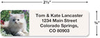 Cute Kittens Rolled Personalized Return Address Mailing Labels with Dispenser, Set of 250, 5 Designs, Small ¾ x 2½ Inch Size, Custom Self-Adhesive Sticker Roll, by Colorful Images