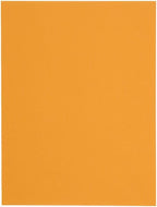 Quality Park 10 x 13 Catalog Envelopes with Self Seal Closure, 28 lb Brown Kraft, Great Option for Mailing, Storage and Organizing, 100 per Box (44762)