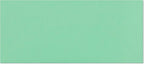 EnDoc #9 Colored Envelopes - 80 Pack - Green Pastel Color 3 7/8 x 8 7/8 envelope, Letter Size, For Home, Offices, Holiday, Invoices and Mailings