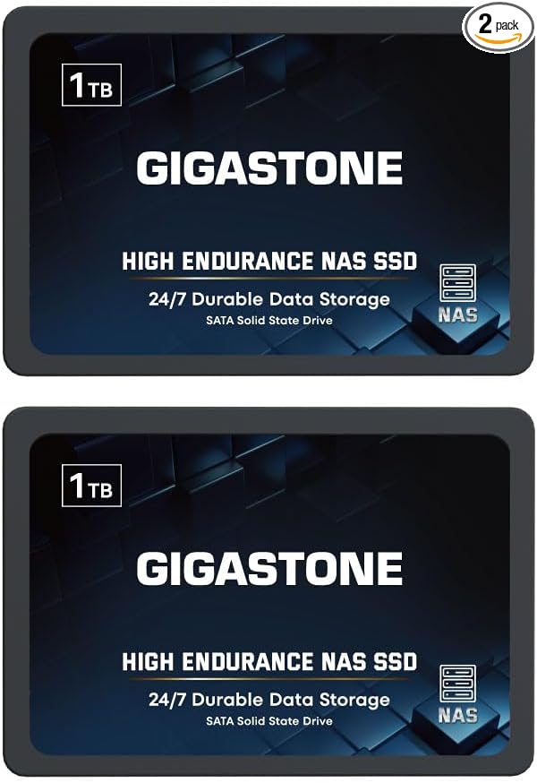 Gigastone 1TB NAS SSD Drive (2-Pack) 24/7 Durable TLC High Endurance RAID Data Storage Network Attached Storage 2.5" SATA Internal Solid State Hard Drives