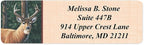 Deer Designer Rolled Address Labels with Elegant Plastic Dispenser
