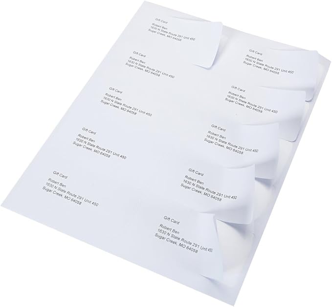 9527 Product 10 UP Sticker Labels,2x4 inches FBA Shipping Address Labels for Laser/Ink Jet Printer,Total 1000 Labels