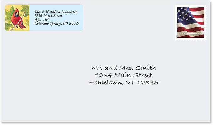 Colorful Images Birds of America Return Address Mailing Labels, Personalize with Name & Addresses, Set of 240 Self Adhesive, Easy Peel Flat Label Sheets, ⅝ inch x 2”, 12 Designs