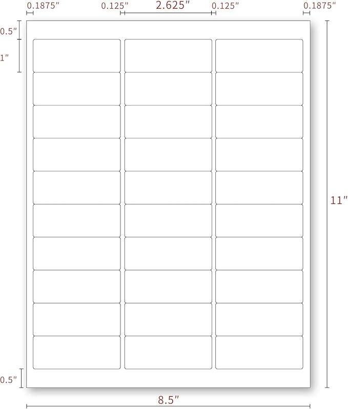 Address Labels for Printer 750 Labels - 1" x 2-5/8", Mailing, Storage & Pantry Organization, Laser/Inkjet Compatible, 30 Per Page, 25 Sheets
