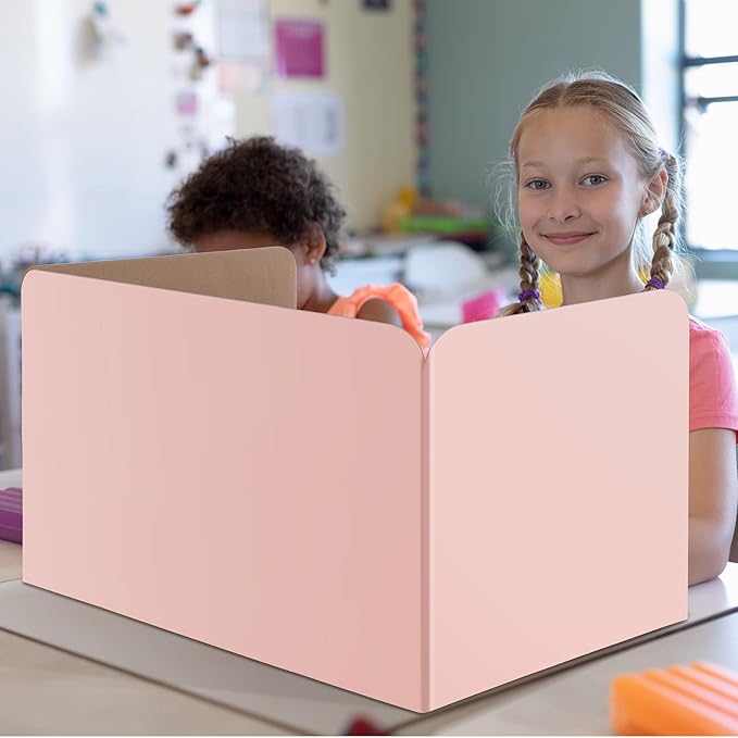 24 Pack Privacy Folders Boards for Student Desks Classroom Desk Divider Desk Privacy Panel Study Reduces Distractions Privacy Boards for Student Teacher Supplies, 19 x 12 Inch (Fresh Style)
