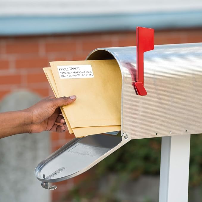 Address Labels for Printer 750 Labels - 1" x 2-5/8", Mailing, Storage & Pantry Organization, Laser/Inkjet Compatible, 30 Per Page, 25 Sheets