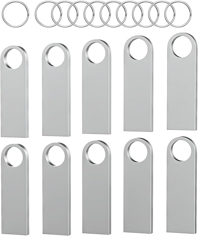 ABLAZE 8GB Flash Drive 10 Pack, Metal USB 2.0 Thumb Drives with Keychains USB Sticks Pendrives (Sliver)