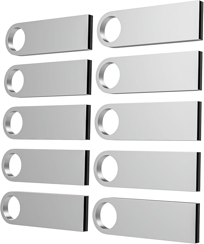 ABLAZE 2GB Flash Drive 10 Pack, Metal USB 2.0 Thumb Drives with Keychains USB Sticks Pendrives (Sliver)