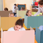 24 Pack Privacy Folders Boards for Student Desks Classroom Desk Divider Desk Privacy Panel Study Reduces Distractions Privacy Boards for Student Teacher Supplies, 19 x 12 Inch (Fresh Style)