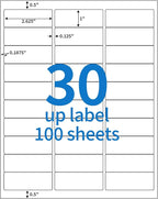 BESTEASY 30-up 100 Sheets 1" X 2-5/8" Address Shipping Labels for Laser and Inkjet Printers, FBA Product Labels (3000 Labels)