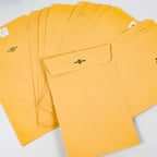 6” x 9” Clasp Envelopes with Gummed Seal Brown Kraft Catalog Envelopes Clasp Mailing Envelopes for Home, Office, Business 28 lb Kraft Paper,Pack of 30