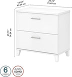 Bush Furniture Somerset 2 Drawer Lateral File Cabinet in White