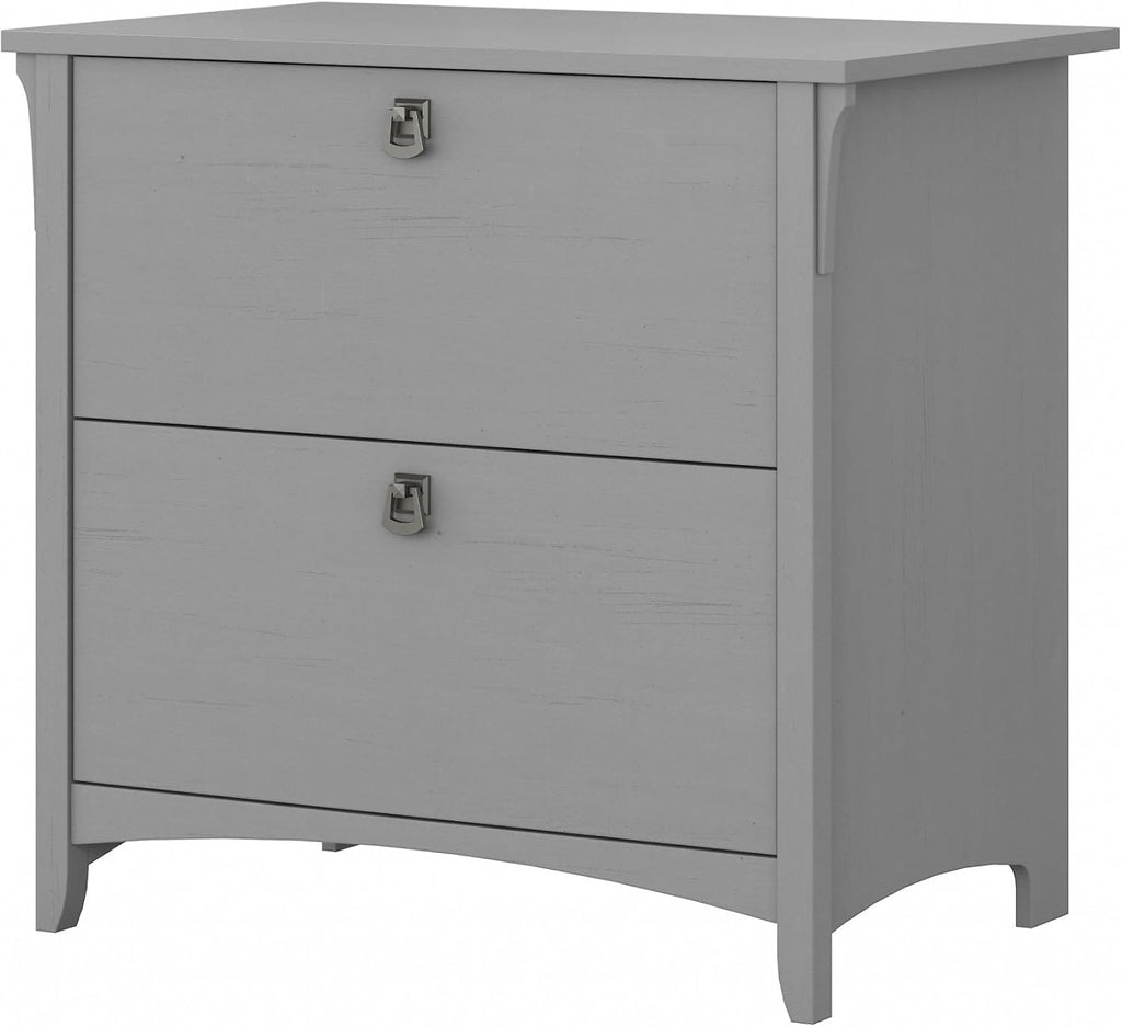 Bush Furniture Salinas 2 Drawer Lateral File Cabinet in Cape Cod Gray, Home Office Storage Solution, Organizer with Drawers for Workspace, Filing Unit