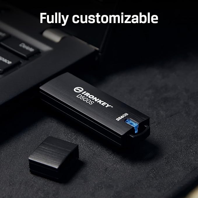 Kingston Ironkey D500S 256GB Encrypted Flash Drive | Dual Hidden Partition | FIPS 140-3 Level 3 | XTS-AES 256-bit | BadUSB and Brute Force Protection | Multi-Pin Option | IKD500S/256GB