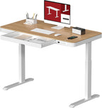 Standing Desk with Drawer, Electric Height Adjustable Home Office Desk with Storage & USB Ports, 48 inch Bamboo Texture Tabletop/White Frame
