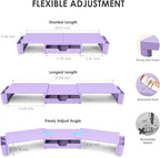 Purple Desk Organizers and Accessories, Dual Computer Monitor Stand Riser with Drawer and 2 Pen Holders, Office Desk Accessories, Workspace Desktop Organization for Office Supplies