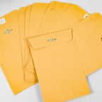 6” x 9” Clasp Envelopes with Gummed Seal Brown Kraft Catalog Envelopes Clasp Mailing Envelopes for Home, Office, Business 28 lb Kraft Paper,Pack of 50