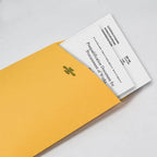 6” x 9” Clasp Envelopes with Gummed Seal Brown Kraft Catalog Envelopes Clasp Mailing Envelopes for Home, Office, Business 28 lb Kraft Paper,Pack of 30