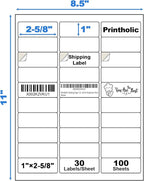 3000 30 Per Sheet Self Adhesive 1" x 2-5/8" Address Shipping Labels for Laser & Inkjet Printers, 100 Sheets, 30 Per Labels Per Page