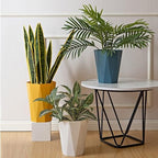 6pcs Trash Can Wastebasket Plastic 2.6 Gallon Garbage Can Container Rubbish Trash Bin Paper Basket Office Organizer for Bedroom Office Bathroom,10Litre-6 Colors