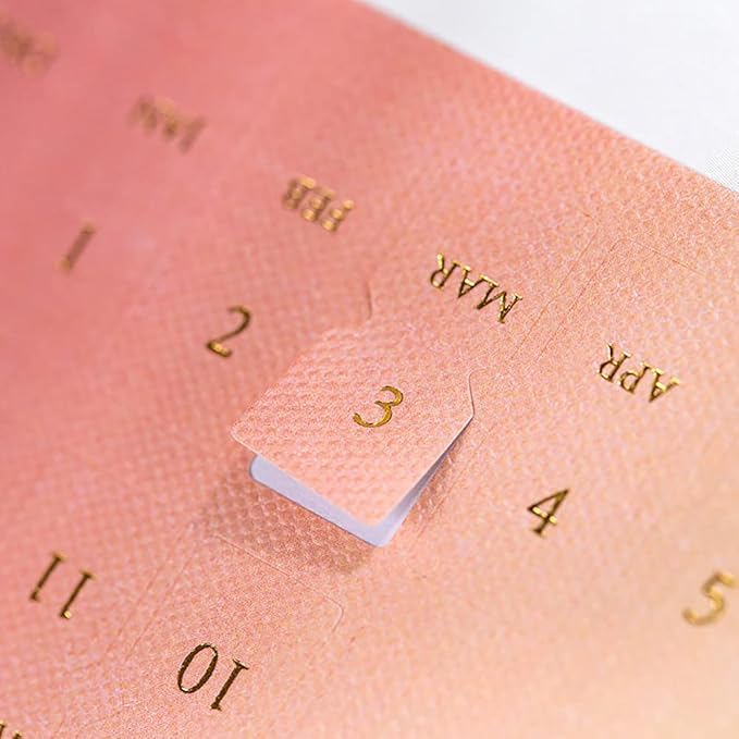 10 Sheets Monthly Adhesive Index Tabs Colorful Monthly Separator Tabs for Office Study Planners Organizations (Knight)