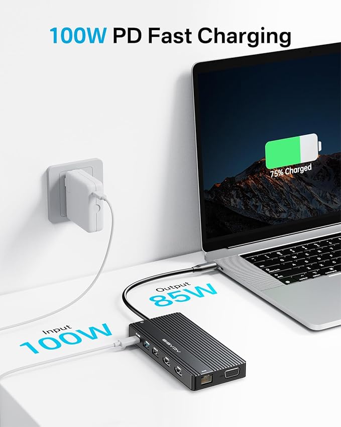 USB C Docking Station Dual Monitor, 14 in 1 USB C Hub, Adapter with 2 HDMI+DP(4K60Hz), Ethernet, 3 USBC 10G,100W PD, SD/TF, Audio, Laptop Docking Station for Dell/HP/Lenovo/ThinkPad/Surface (Black)