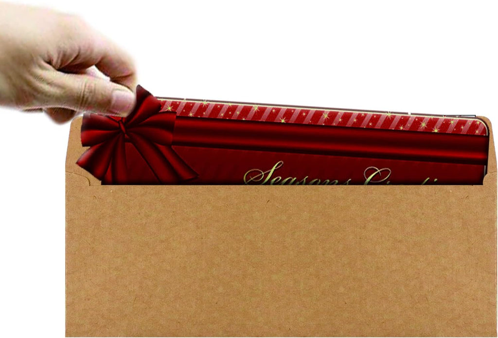 120 Pack #10 Brown Kraft Security Envelopes 4-1/8 x 9-1/2 inches Self Seal