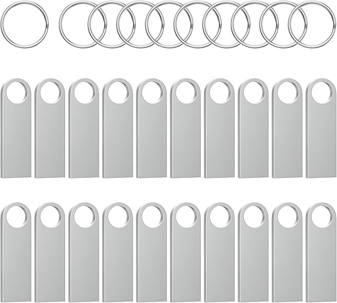 ABLAZE 1GB Flash Drive 20 Pack, Metal USB 2.0 Thumb Drives with Keychains USB Sticks Pendrives (Sliver)