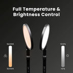 LUME CUBE Edge Light 2.0 LED Black Desk Lamp | Dimmable Home Office Desk Light with USB Charging Port & Strong Swing Arm | Adjustable Color Temperature and Brightness | Circle Webcam Light