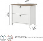Bush Furniture Salinas 2 Drawer Lateral File Cabinet in Pure White and Shiplap Gray
