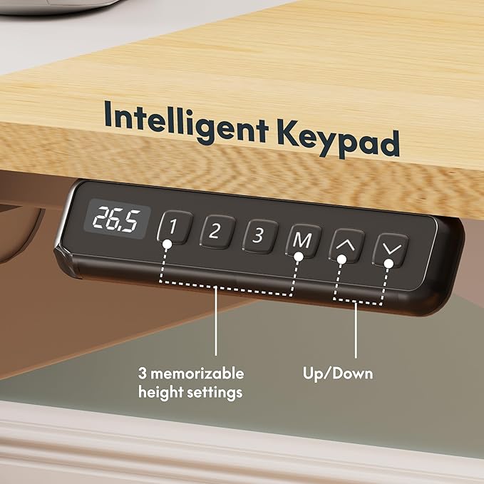 SANODESK Electric Standing Desk with Drawer, 71 x 32 inch Height Adjustable Computer Desk, Home Office Stand Up Desk with 4 Preset Heights, White