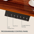 FLEXISPOT EN1 Whole-Piece Standing Desk, 48 x 24 Inches ElectricHeight Adjustable Desk for Home Office (Black Frame + Mahogany Top, 2 Packages)