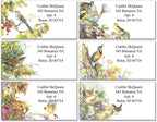 Colorful Images Songbirds Return Address Mailing Labels, Personalize with Name & Addresses, Set of 144 Self Adhesive, Easy Peel Flat Label Sheets, 1 ⅛ x 2 ¼”, 6 Designs