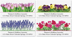 Colorful Images Floral Seasonal Bouquet Return Address Mailing Labels, Personalize with Name & Address, Set of 144 Self Adhesive, Easy Peel Flat Label Sheets, Large, 8 Designs