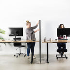 VIVO Freestanding 24 x 66 inch Privacy Panel, Cubicle Divider, Acoustic Wall Partition, Single 24 inch Panel with 2-Sided Zipper Attachment System, Dark Gray, PP-1-T024D