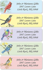 Birds Rolled Personalized Return Address Mailing Labels with Dispenser, Set of 500,5 Designs, Small ¾ x 2½ Inch Size, Custom Self-Adhesive Sticker Roll, by Colorful Images