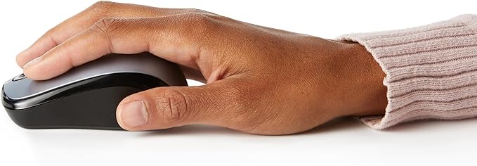 Amazon Basics 2.4 Ghz Wireless Optical Computer Mouse with USB Nano Receiver, Silver