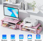 gianotter Desk Organizers and Accessories, Monitor Stand with Drawer and 2 Pen Holder, Desktop Organizer Suitable for Offices and Dormitories (Pink)