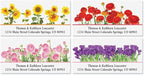 Colorful Images Floral Seasonal Bouquet Return Address Mailing Labels, Personalize with Name & Address, Set of 144 Self Adhesive, Easy Peel Flat Label Sheets, Large, 8 Designs