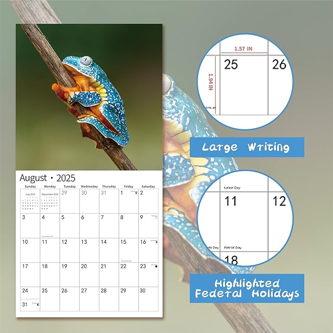 2025 Wall Calendar,Calendar 2025, January 2025 - December 2025, Wall Calendar Frog, 12" x 24" Opened,Full Page Months Thick & Sturdy Paper for Calendar Organizing & Planning