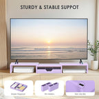 Purple Desk Organizers and Accessories, Dual Computer Monitor Stand Riser with Drawer and 2 Pen Holders, Office Desk Accessories, Workspace Desktop Organization for Office Supplies