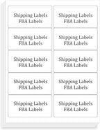 FungLam 2x4 Shipping Address Labels for Laser & Inkjet Printers, 300 Printable White Sticker Labels, 10 per Page Mailing Labels, Permanent Adhesive (30 Sheets, 300 Labels)