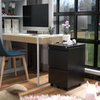 METAN 2 Drawer Vertical File Cabinet with Lock, Mobile Metal Filing Cabinet for Legal/Letter Size, Office Storage File Cabinet Under Desk, Fully Assembled Except Wheels, Black